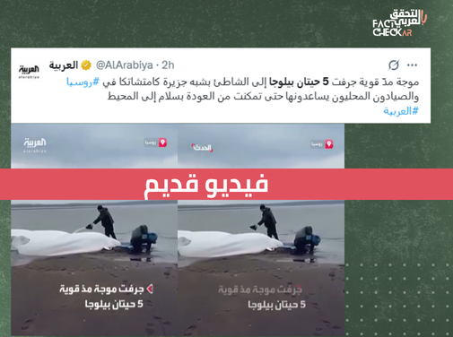 فيديو الحيتان الذي نشرته العربية والحدث قديم
